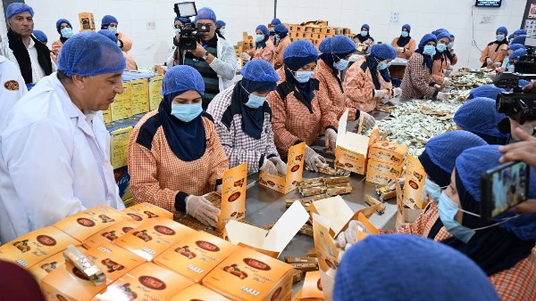 جانب من الجولة التفقدية 