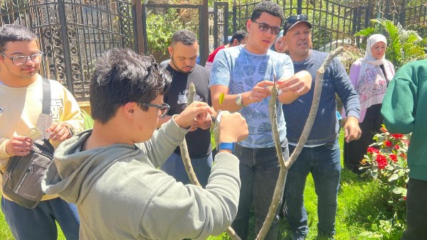  ختام ناجح لأول برنامج تدريبي لتمكين ذوي الهمم في وقاية النباتات