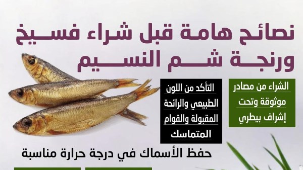 نصائح هامة قبل شراء فيخ ورنجة شم النسيم