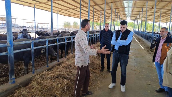 رئيس تحسين الأراضي يتفقد محطة الإنتاج الحيواني ومشروع الميكنة الزراعية بغرب غرب المنيا 