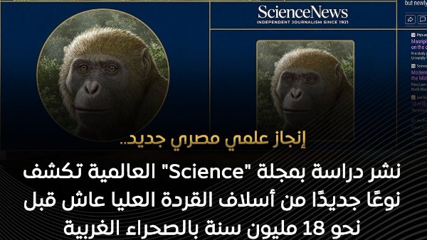 انجاز علمي مصري جديد