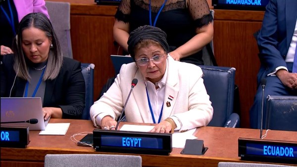  الدكتورة عبلة الألفي - نائب وزير الصحة والسكان