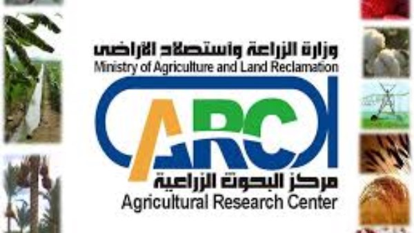 مركز البحوث الزراعية