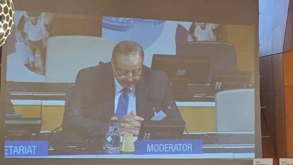 الجهاز المصري للملكية الفكرية يستعرض استراتيجيات الذكاء الاصطناعي في WILD/2