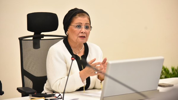  الدكتورة عبلة الألفي - نائب وزير الصحة والسكان