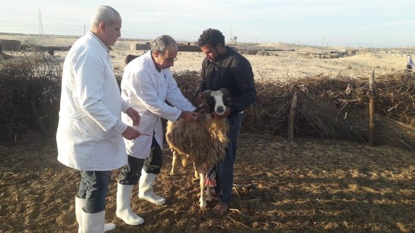  الحملة القومية ضد الأمراض الوبائية