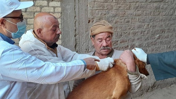  الحملة القومية لمكافحة السعار والسيطرة على الكلاب الحرة