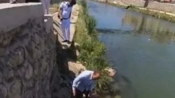 حملة للقضاء على الملوثات بالإسكندرية