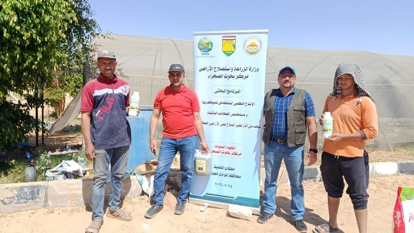 "بحوث الصحراء" ينفذ 7 حقول إرشادية بالوادي الجديد لدعم الزراعة الصحراوية