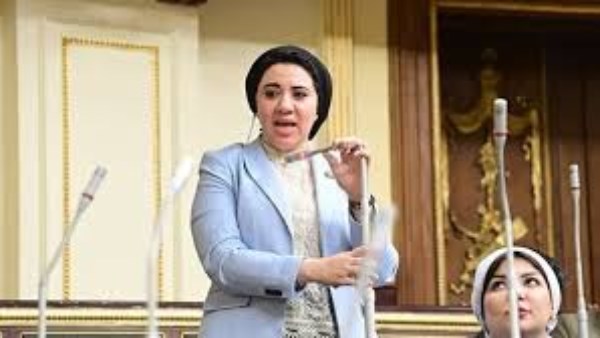 النائبة أميرة صابر