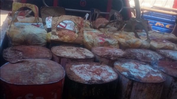 حملة رقابية في أسيوط: ضبط 700 كيلو فسيخ وأسماك مملحة غير صالحة للاستهلاك 