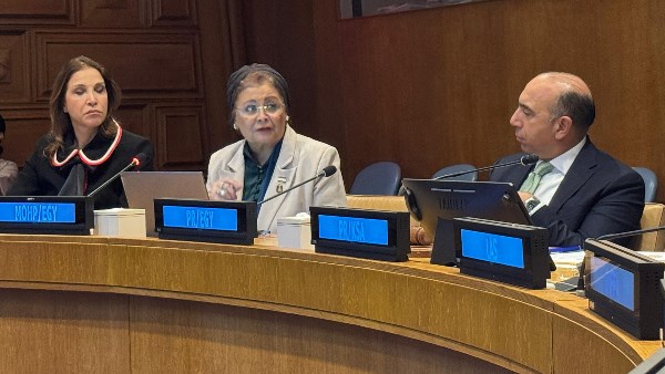 الدكتورة عبلة الألفي، نائب وزير الصحة والسكان