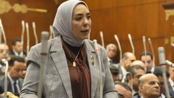 النائبة وفاء رشاد 