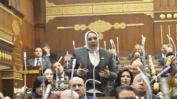 النائبة وفاء رشاد، عضو مجلس الشيوخ