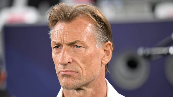 هيرفي رينارد 