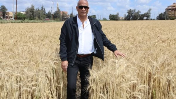 محافظ كفرالشيخ