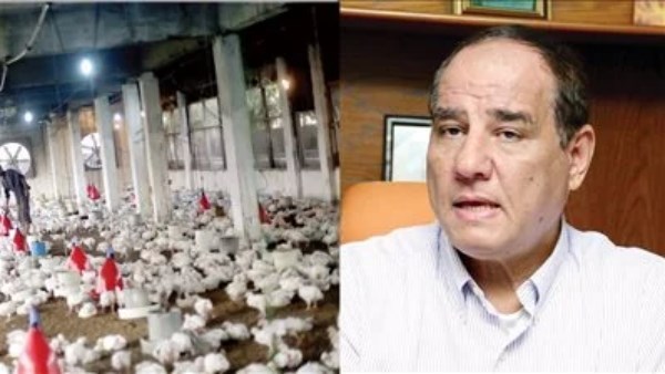  الدكتور ثروت الزيني، نائب رئيس اتحاد منتجي الدواجن