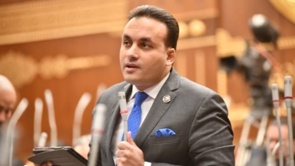 النائب عمرو فهمي 