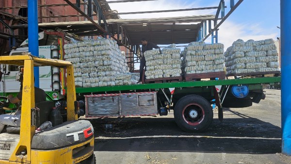 مصانع سكر أرمنت بالأقصر