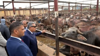  محافظ الدقهلية