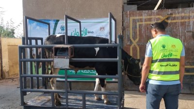  جمعية الأورمان