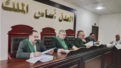 جنايات دمنهور الدائرة 13 