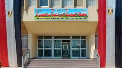 محطة البحوث الزراعية بالجميزة