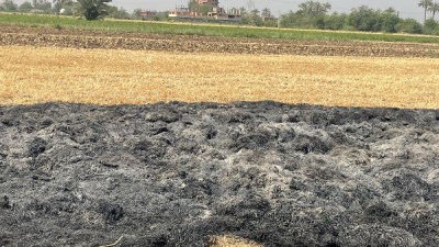 حريق في محصول قمح بقرية مجول في بنها الأجهزة الأمنية تكشف التفاصيل والتحقيقات مستمرة 