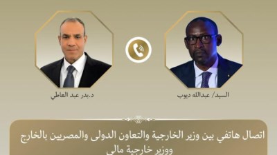 وزير الخارجية يبحث مع نظيره المالي تعزيز التعاون في مكافحة الإرهاب بمنطقة الساحل