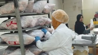 مديرية الطب البيطري 