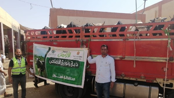 جمعية الأورمان تستعد لنحر 2000 عجل بلدى 