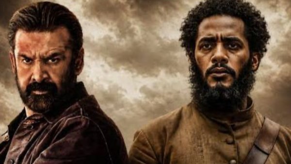 أسد و 7 dogs 