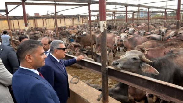 محافظ الدقهلية