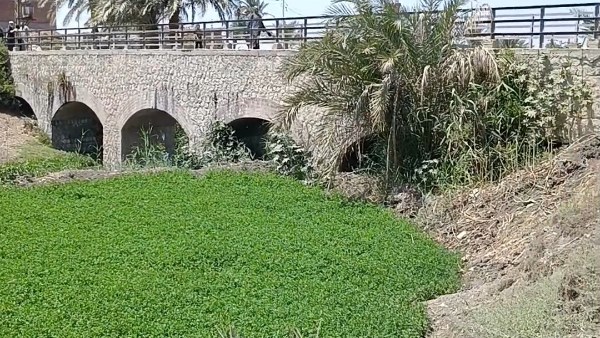 بدالة نوّارة.. تحفة هندسية بالفيوم