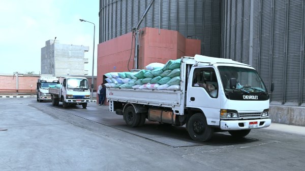توريد القمح في البحيرة 