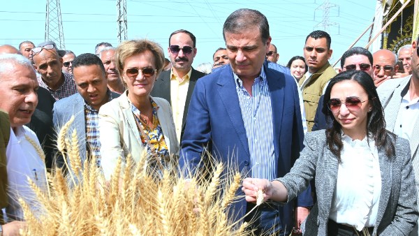 محافظة البحيرة 