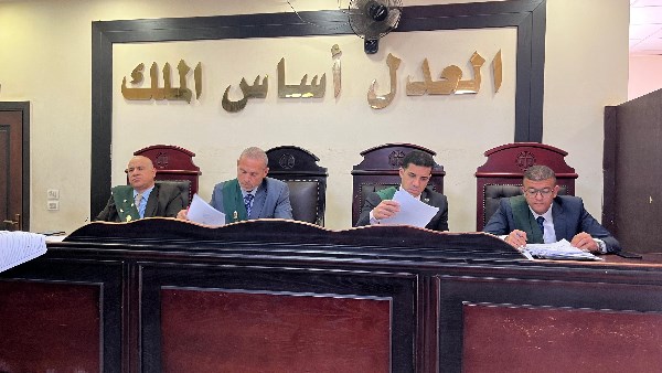 جنايات دمنهور الدائرة السابعة 