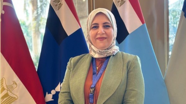 د.هناء عبد الحميد