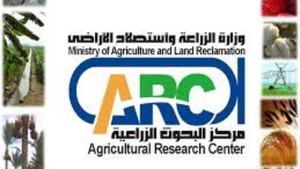 مركز البحوث الزراعية