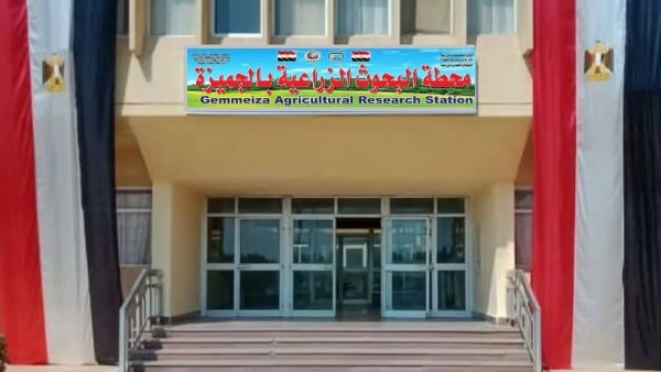 محطة البحوث الزراعية بالجميزة