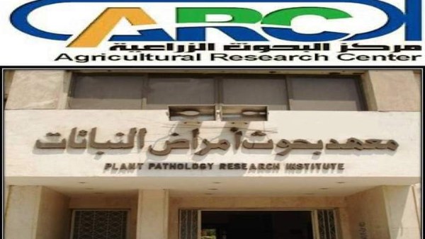 معهد بحوث أمراض النباتات