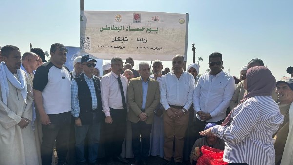 يوم حصاد البطاطس بالمنيا