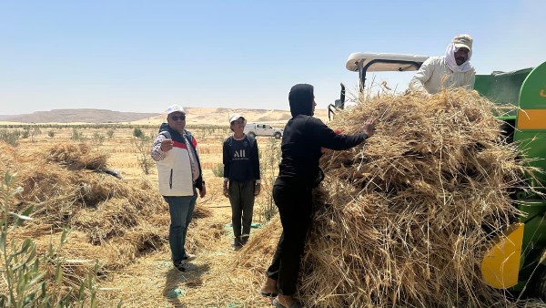 الزراعة: مبادرة “اسأل واستشير” ترفع كفاءة الإنتاج الزراعي في سيناء