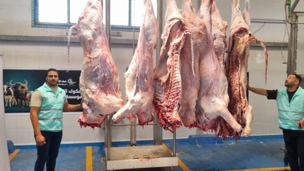 صناع الخير توزيع 96.7 طن لحوم الأضاحي في 16 محافظة لدعم الأسر الأكثر احتياجًا