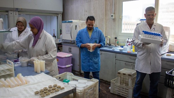 "متبقيات المبيدات": تحليل أكثر من 2500 عينة متبقيات مبيدات خلال عيد الأضحى