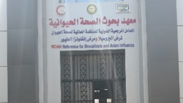 معهد بحوث الصحة الحيوانية