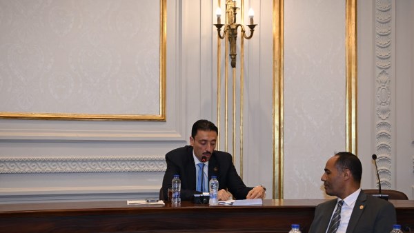 النائب محمد رزق 