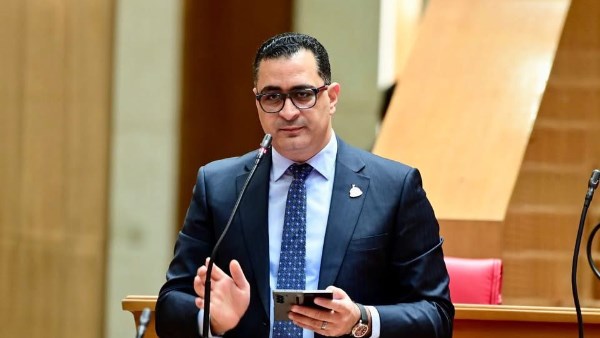 النائب محمود طاهر خلال كلمته بالجلسة العامة لمجلس النواب 