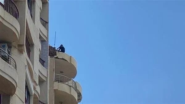 الحماية المدنية بالإسكندرية تنقذ شابًا من أعلى سور الطابق الثالث عشر 