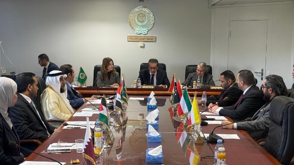 من جنيف.. مصر تدعو لتحرك عربي عاجل لدعم فلسطين ومواجهة الأزمات الصحية